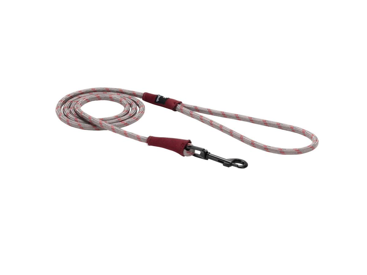 Snow Peak SP Rope Lead - L — view 1 of 2 | Burrows & Hare