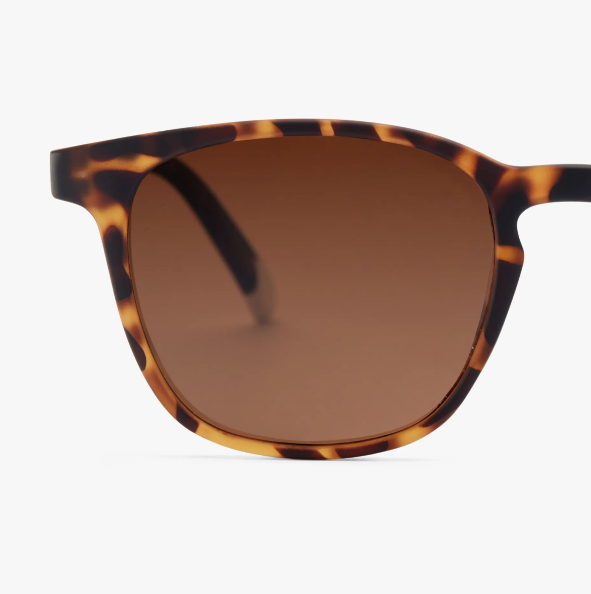 Close-up of Dalston Tortoise Sun sunglasses showcasing classic tortoiseshell pattern.