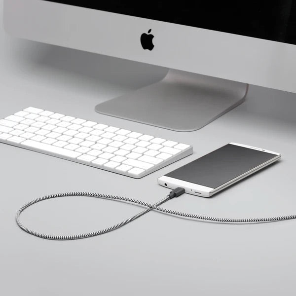 Native Union- Belt Cable XL USB-C to USB-A - Zebra - Burrows and Hare